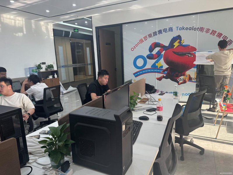 电商代运营：一场智慧与策略的博弈